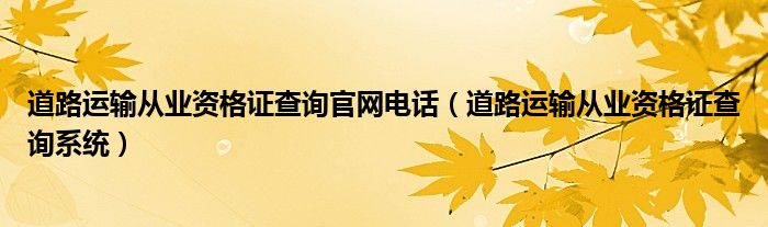 道路运输从业资格证查询官网电话（道路运输从业资格证查询系统）