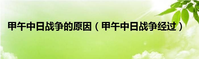 甲午中日战争的原因（甲午中日战争经过）