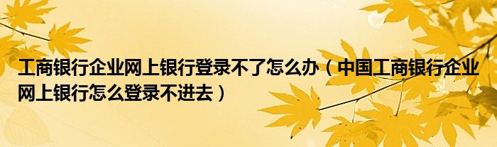 工商银行企业网上银行登录不了怎么办（中国工商银行企业网上银行怎么登录不进去）