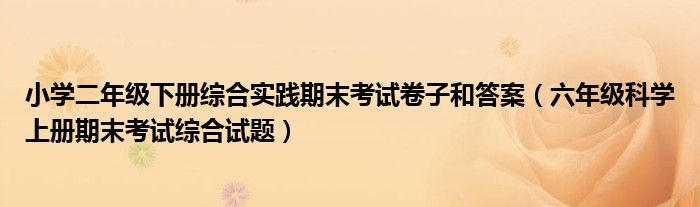 小学二年级下册综合实践期末考试卷子和答案（六年级科学上册期末考试综合试题）