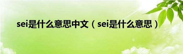 sei是什么意思中文（sei是什么意思）