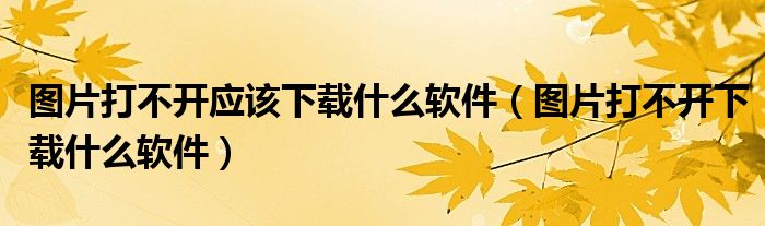 图片打不开应该下载什么软件（图片打不开下载什么软件）