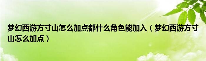 梦幻西游方寸山怎么加点都什么角色能加入（梦幻西游方寸山怎么加点）