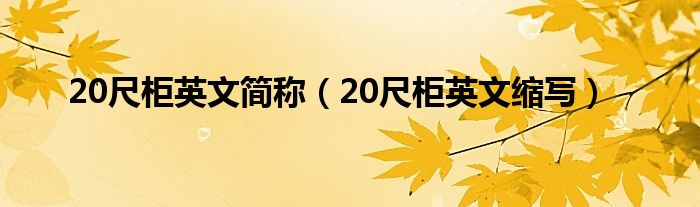 20尺柜英文简称（20尺柜英文缩写）