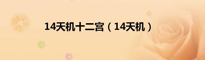 14天机十二宫（14天机）