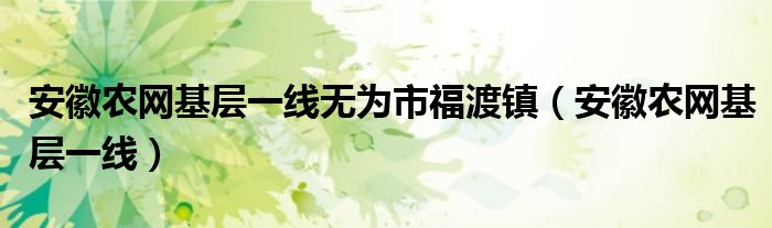 安徽农网基层一线无为市福渡镇（安徽农网基层一线）