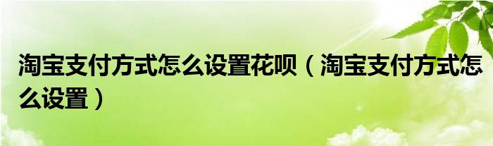 淘宝支付方式怎么设置花呗（淘宝支付方式怎么设置）