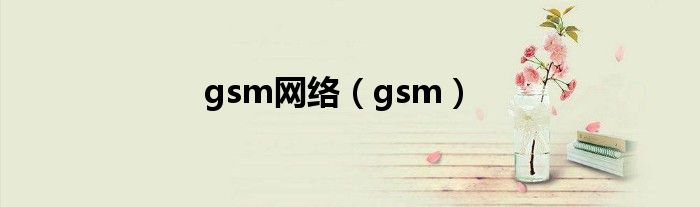 gsm网络（gsm）