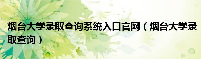 烟台大学录取查询系统入口官网（烟台大学录取查询）