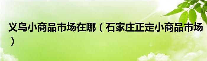 义乌小商品市场在哪（石家庄正定小商品市场）