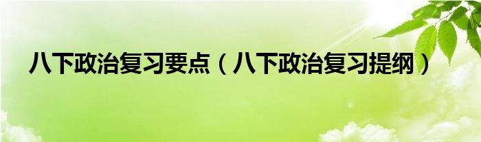 八下政治复习要点（八下政治复习提纲）