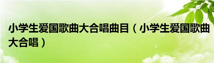 小学生爱国歌曲大合唱曲目（小学生爱国歌曲大合唱）