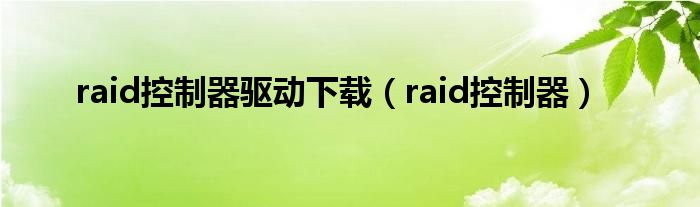 raid控制器驱动下载（raid控制器）