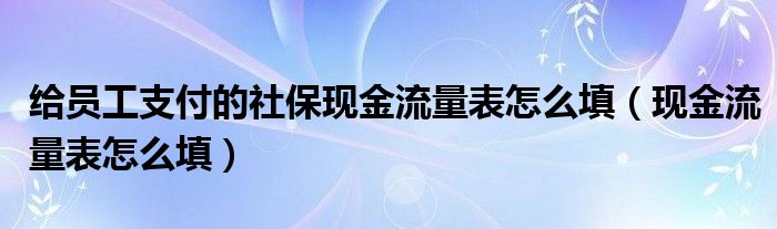 给员工支付的社保现金流量表怎么填（现金流量表怎么填）