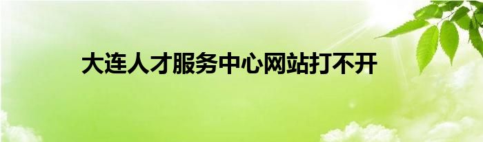 大连人才服务中心网站打不开