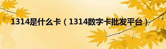 1314是什么卡（1314数字卡批发平台）