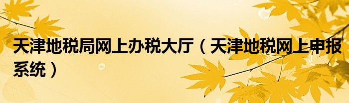 天津地税局网上办税大厅（天津地税网上申报系统）