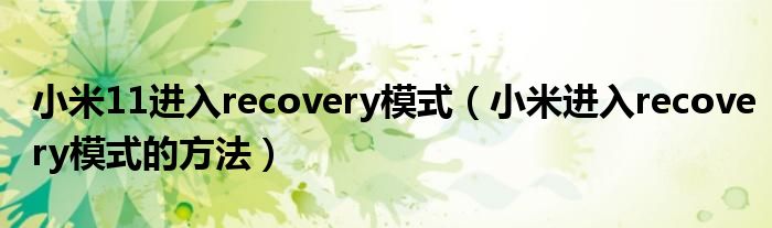 小米11进入recovery模式（小米进入recovery模式的方法）