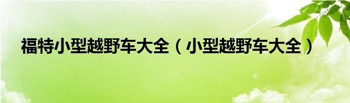 福特小型越野车大全（小型越野车大全）