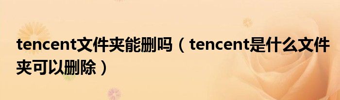 tencent文件夹能删吗（tencent是什么文件夹可以删除）