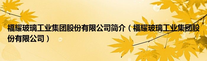 福耀玻璃工业集团股份有限公司简介（福耀玻璃工业集团股份有限公司）