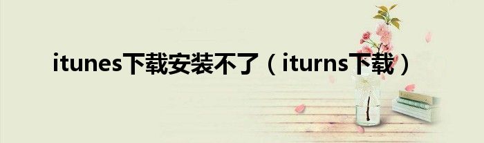 itunes下载安装不了（iturns下载）