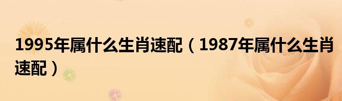 1995年属什么生肖速配（1987年属什么生肖速配）