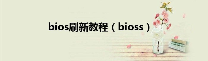 bios刷新教程（bioss）