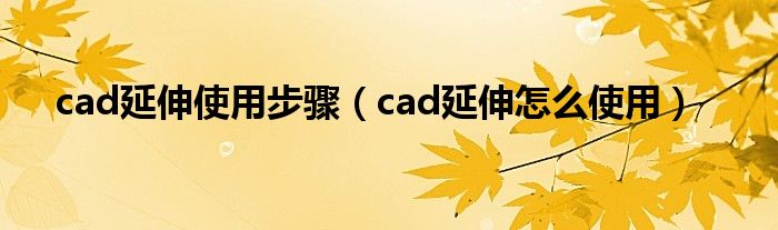 cad延伸使用步骤（cad延伸怎么使用）