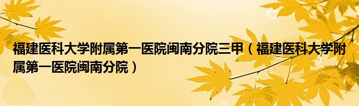 福建医科大学附属第一医院闽南分院三甲（福建医科大学附属第一医院闽南分院）