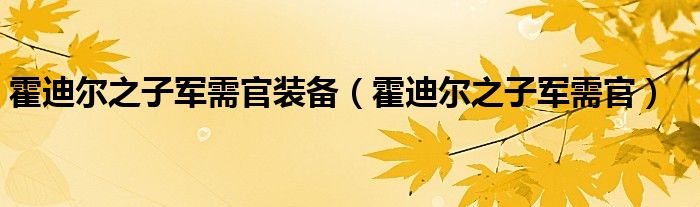 霍迪尔之子军需官装备（霍迪尔之子军需官）