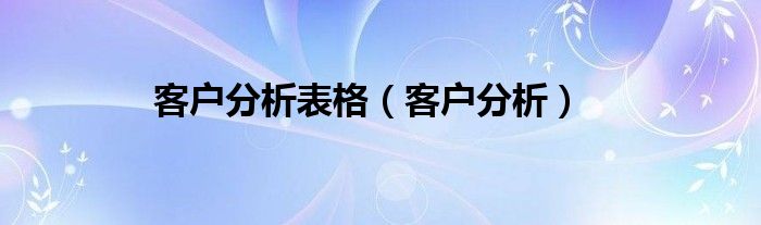 客户分析表格（客户分析）