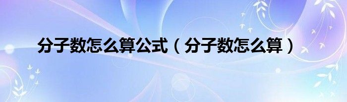 分子数怎么算公式（分子数怎么算）