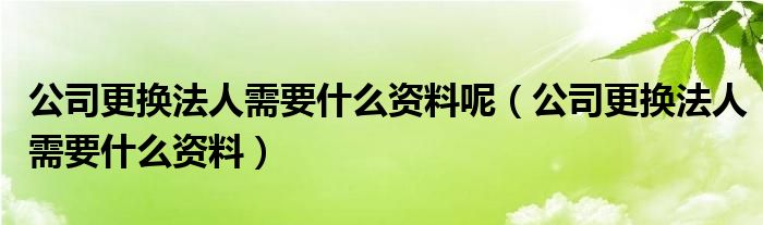 公司更换法人需要什么资料呢（公司更换法人需要什么资料）