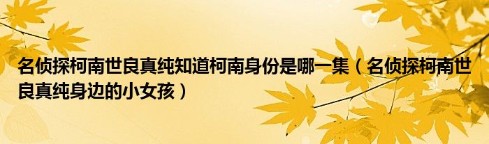 名侦探柯南世良真纯知道柯南身份是哪一集（名侦探柯南世良真纯身边的小女孩）