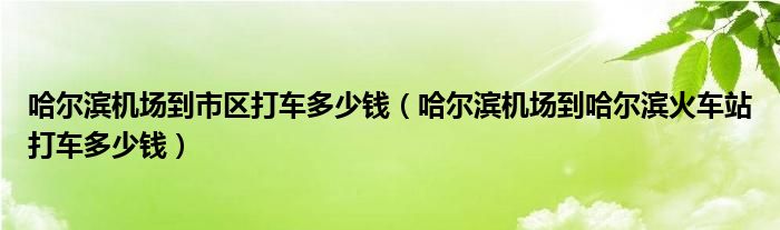 哈尔滨机场到市区打车多少钱（哈尔滨机场到哈尔滨火车站打车多少钱）