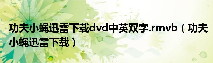 功夫小蝇迅雷下载dvd中英双字.rmvb（功夫小蝇迅雷下载）