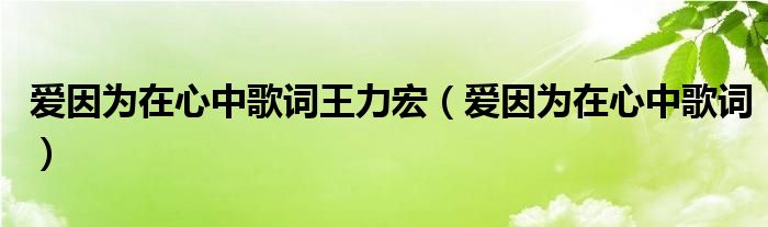 爱因为在心中歌词王力宏（爱因为在心中歌词）