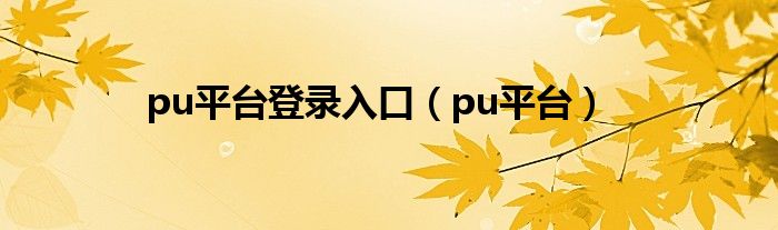 pu平台登录入口（pu平台）