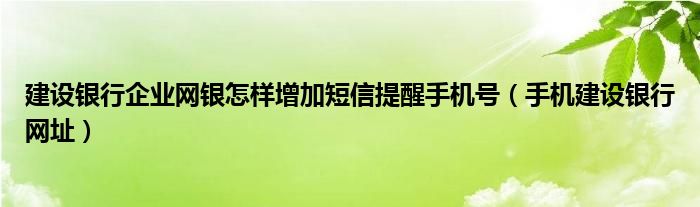 建设银行企业网银怎样增加短信提醒手机号（手机建设银行网址）