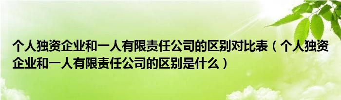 个人独资企业和一人有限责任公司的区别对比表（个人独资企业和一人有限责任公司的区别是什么）