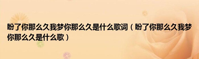 盼了你那么久我梦你那么久是什么歌词（盼了你那么久我梦你那么久是什么歌）