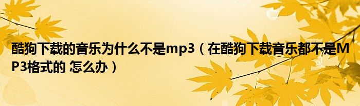 酷狗下载的音乐为什么不是mp3（在酷狗下载音乐都不是MP3格式的 怎么办）