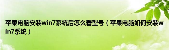 苹果电脑安装win7系统后怎么看型号（苹果电脑如何安装win7系统）