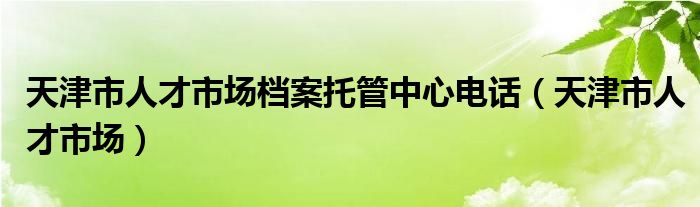 天津市人才市场档案托管中心电话（天津市人才市场）