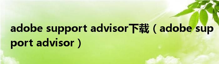 adobe support advisor下载（adobe support advisor）