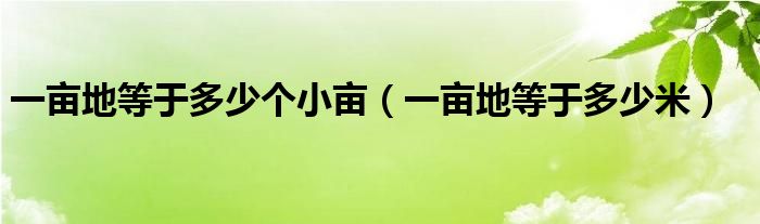 一亩地等于多少个小亩（一亩地等于多少米）