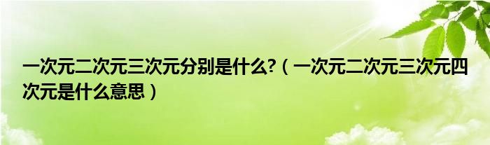 一次元二次元三次元分别是什么?（一次元二次元三次元四次元是什么意思）