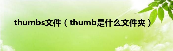 thumbs文件（thumb是什么文件夹）