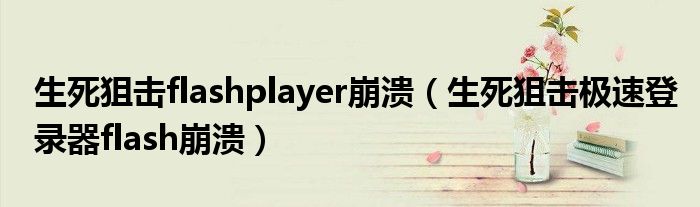 生死狙击flashplayer崩溃（生死狙击极速登录器flash崩溃）